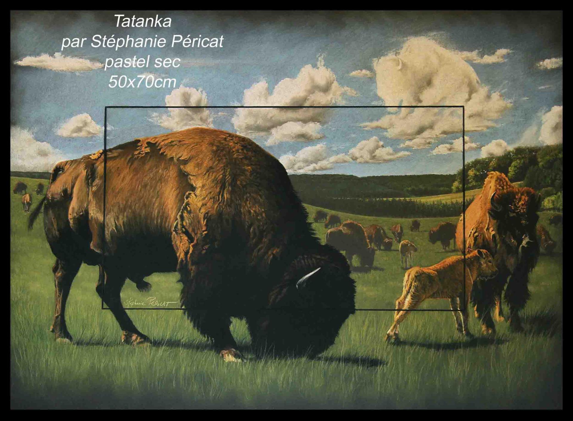 Tatanka - 52x72cm - Disponible