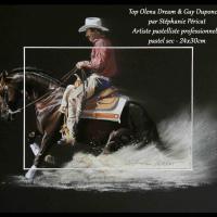 Reining - Top Olena Dream & Guy, stop - 24x30cm