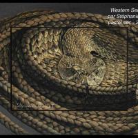 Western Serpentes - 20x30cm - Disponible