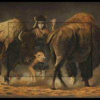 Buffalos Dance - 50 x 65 cm - Disponible
